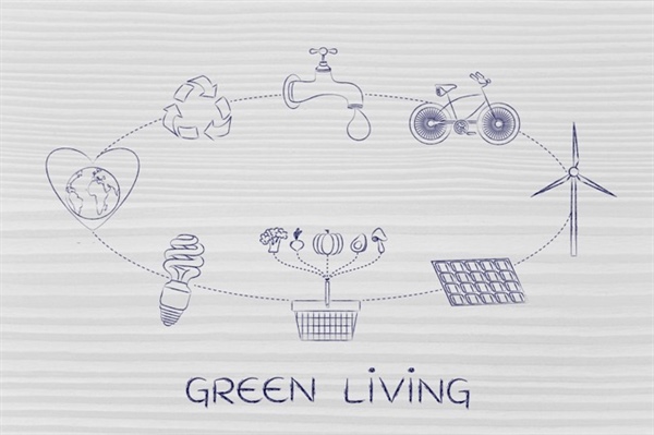 Green Living in Waco: Sustainable Home Design & Building Practices