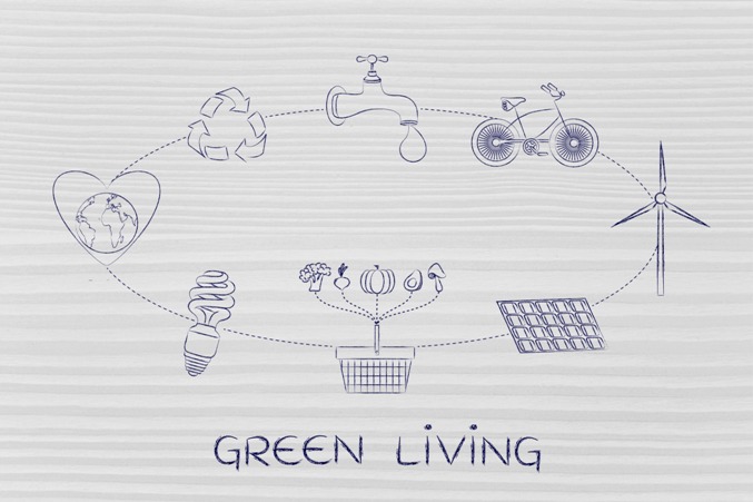 Green Living in Waco: Sustainable Home Design & Building Practices